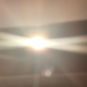 Meet your Posher, Bruce